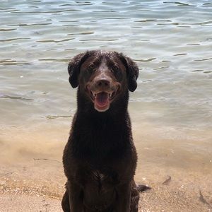 Meet your Posher, Kevin